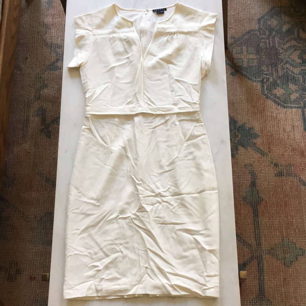 Theory Dress